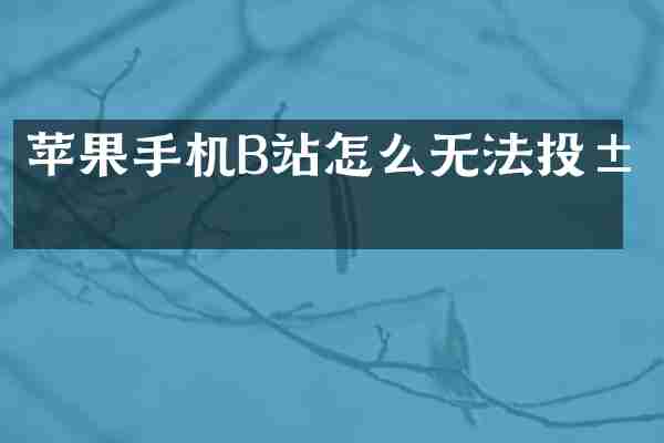 苹果手机B站怎么无法投屏