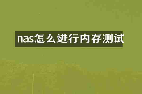 nas怎么进行内存测试