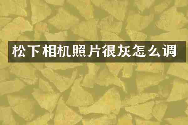 相机照片很灰怎么调