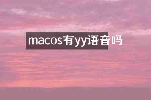 macos有yy语音吗