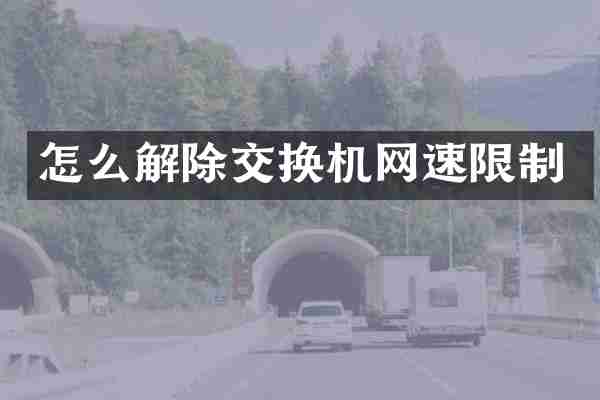 怎么解除交换机网速限制