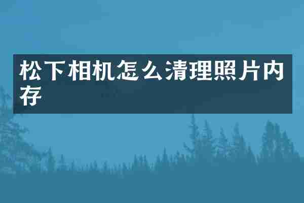 相机怎么清理照片内存