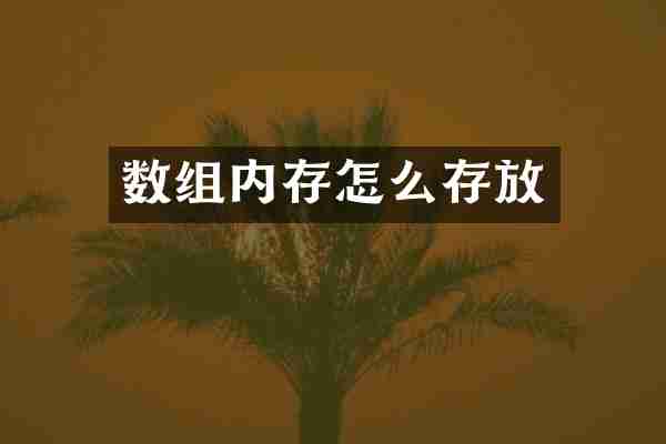 数组内存怎么存放