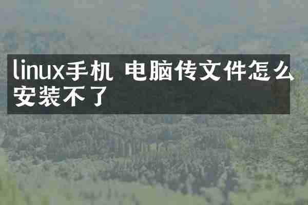 linux手机 电脑传文件怎么安装不了