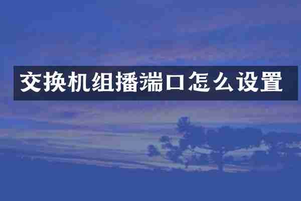 交换机组播端口怎么设置