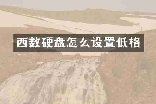 西数硬盘怎么设置低格