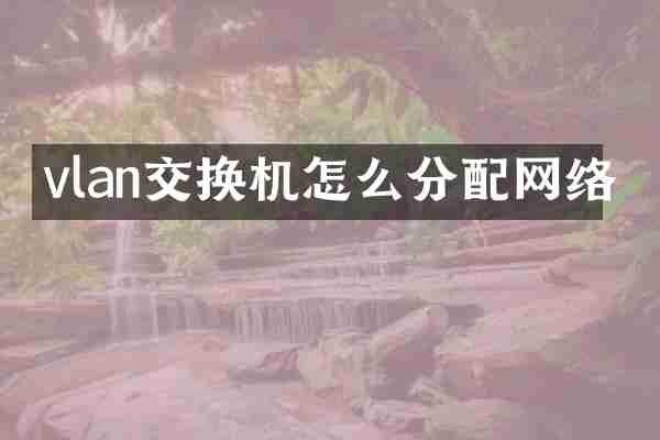 vlan交换机怎么分配网络