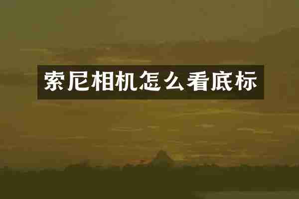相机怎么看底标