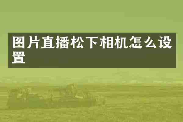图片直播相机怎么设置