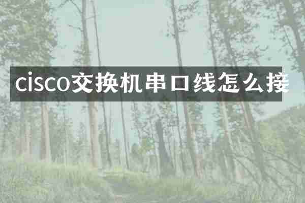 cisco交换机串口线怎么接