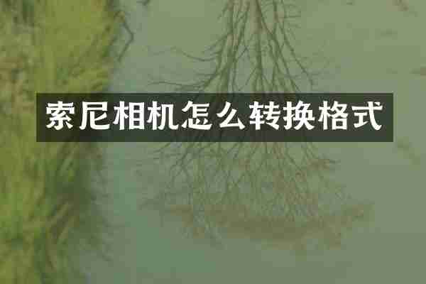 相机怎么转换格式