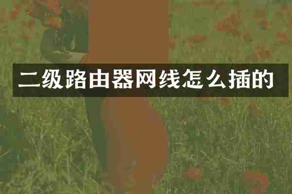 二级路由器网线怎么插的