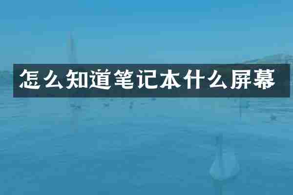 怎么知道笔记本什么屏幕