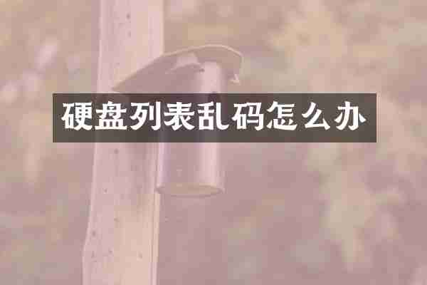 硬盘列表乱码怎么办