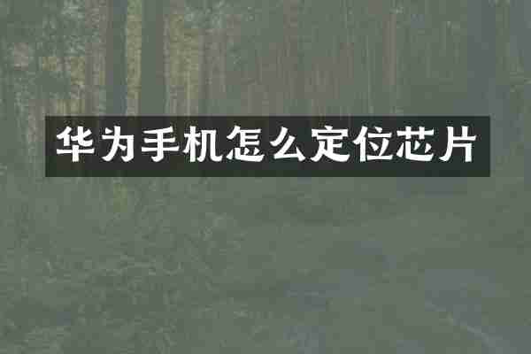 华为手机怎么定位芯片
