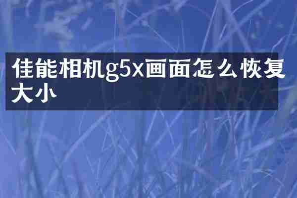 佳能相机g5x画面怎么恢复大小