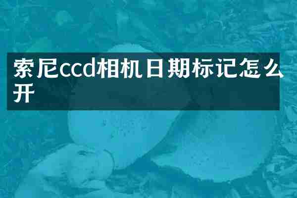 ccd相机日期标记怎么开