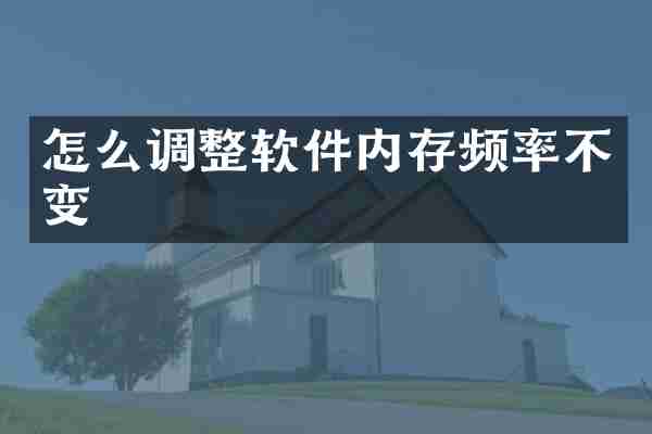 怎么调整软件内存频率不变