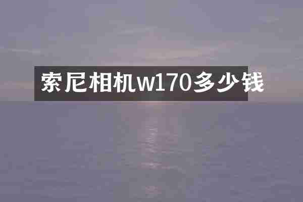 相机w170多少钱