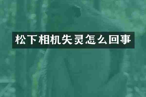松下相机失灵怎么回事
