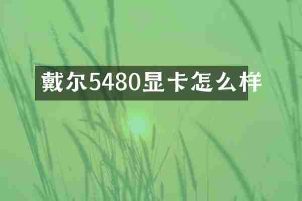 戴尔5480显卡怎么样