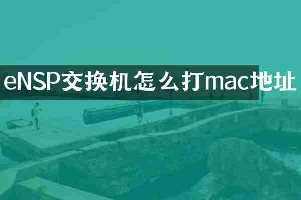 eNSP交换机怎么打mac地址
