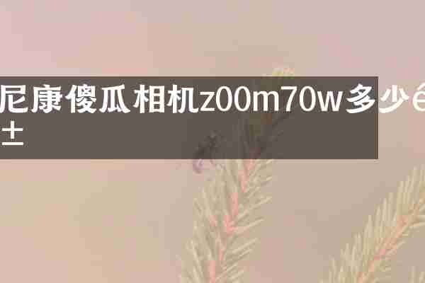 尼康傻瓜相机z00m70w多少钱