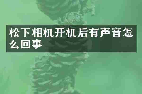相机开机后有声音怎么回事