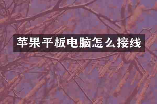 苹果平板电脑怎么接线