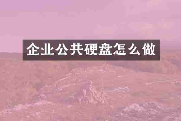 企业公共硬盘怎么做