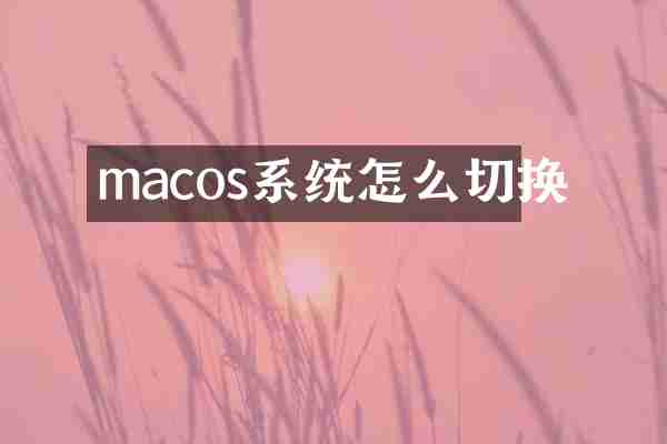 macos系统怎么切换