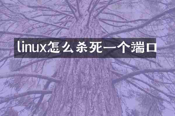 linux怎么杀死一个端口