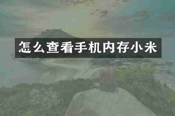 怎么查看手机内存小米