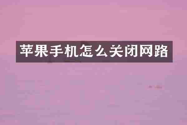 苹果手机怎么关闭网路