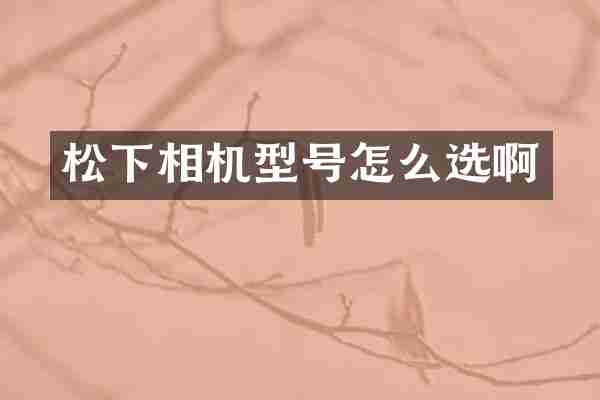 相机型号怎么选啊