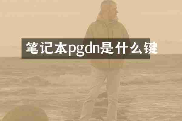 笔记本pgdn是什么键