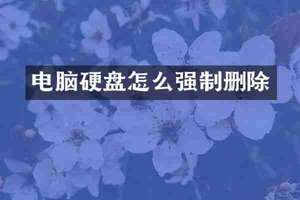 电脑硬盘怎么强制删除