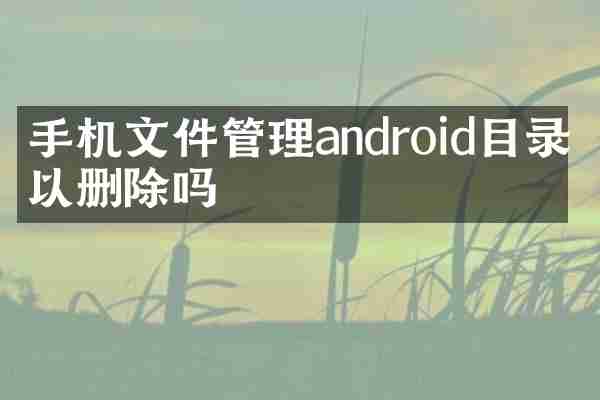 手机文件管理android目录可以删除吗