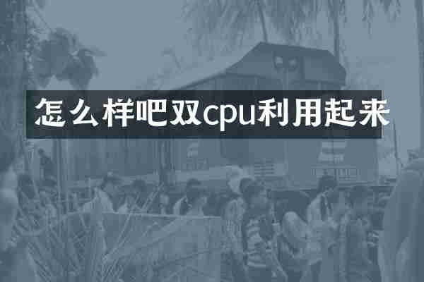 怎么样吧双cpu利用起来