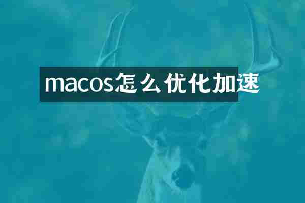 macos怎么优化加速