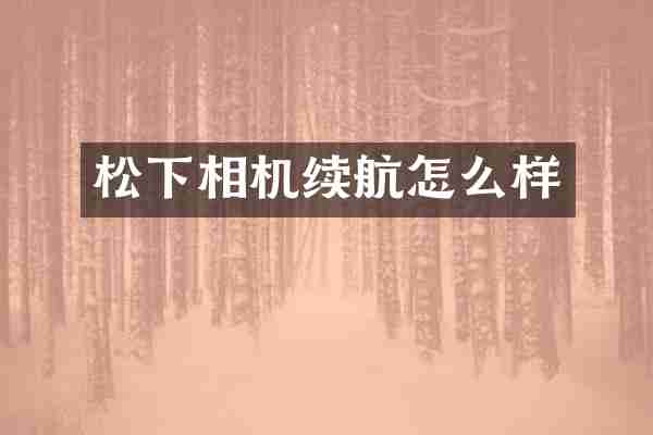 相机续航怎么样