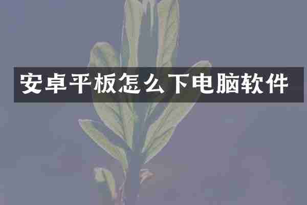 安卓平板怎么下电脑软件
