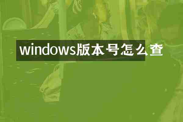 windows版本号怎么查