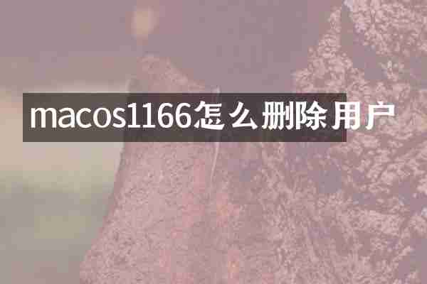 macos1166怎么删除用户