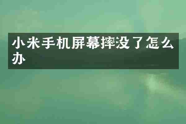 小米手机屏幕摔没了怎么办