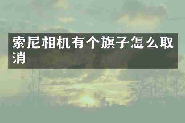 相机有个旗子怎么取消