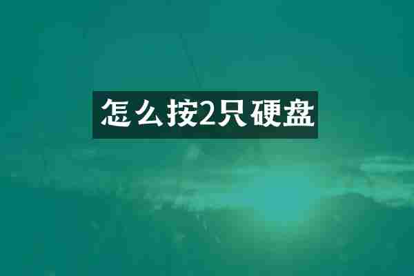 怎么按2只硬盘