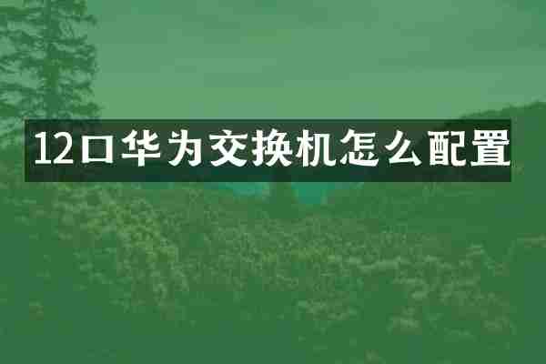 12口华为交换机怎么配置