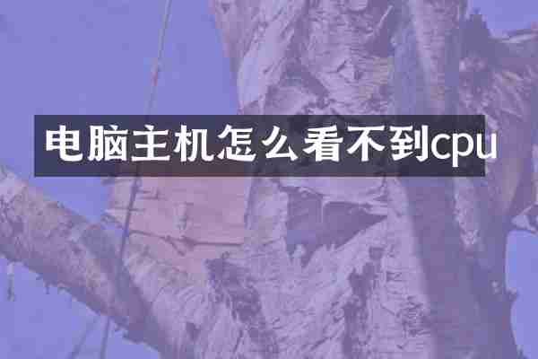 电脑主机怎么看不到cpu