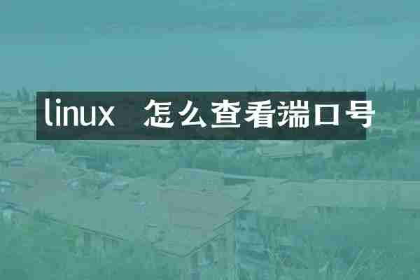 linux  怎么查看端口号